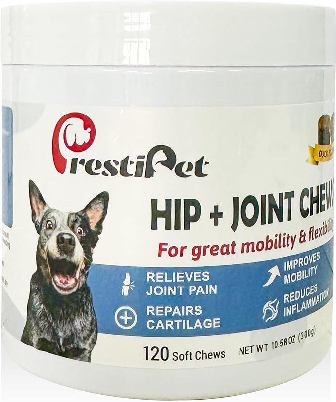 Well Rounded Hip and Joint Supplement Soft Chews for Dog Owners